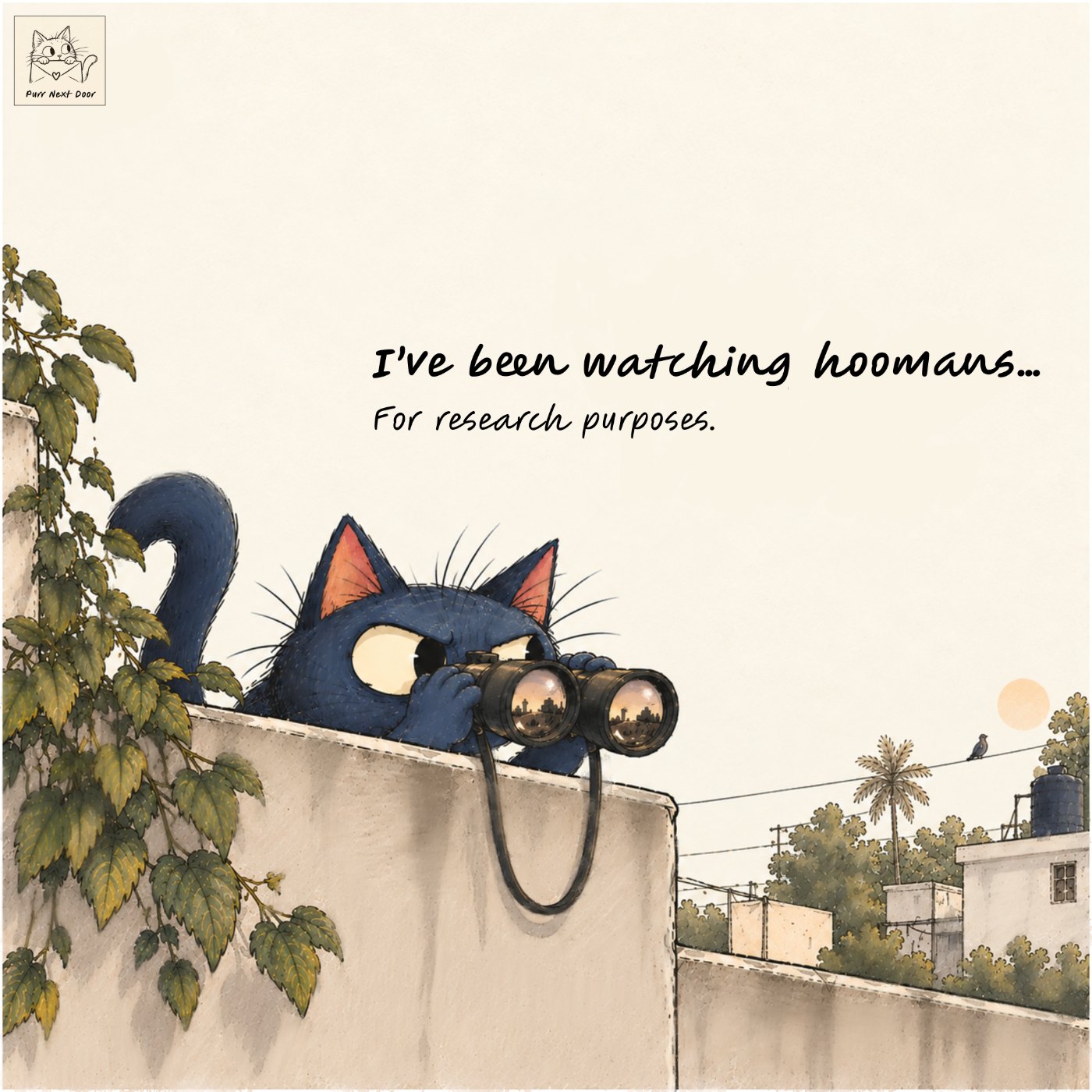 Purr, a blue cat, watching the neighbourhood through binoculars